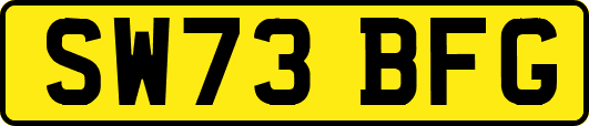 SW73BFG