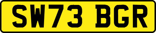 SW73BGR