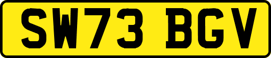 SW73BGV