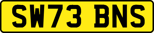 SW73BNS