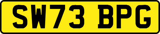 SW73BPG
