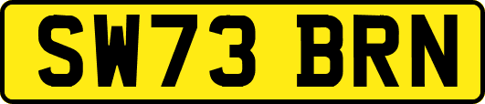 SW73BRN