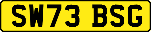 SW73BSG