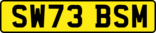 SW73BSM