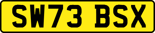 SW73BSX
