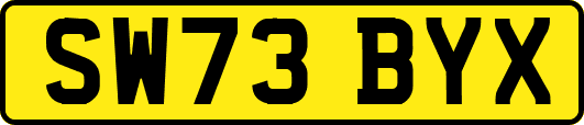 SW73BYX