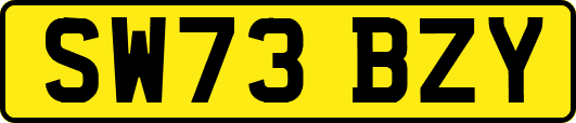 SW73BZY