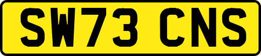 SW73CNS
