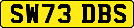 SW73DBS