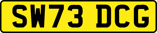 SW73DCG