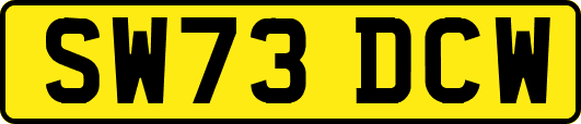 SW73DCW