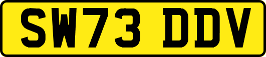 SW73DDV