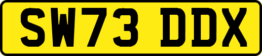 SW73DDX