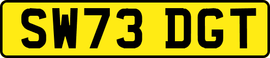 SW73DGT