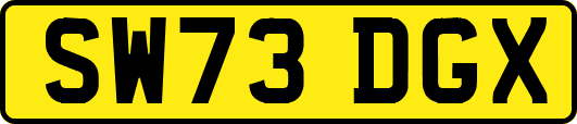 SW73DGX