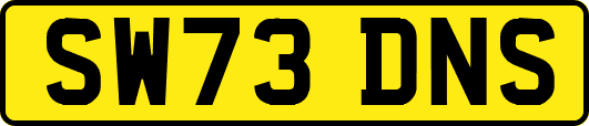 SW73DNS