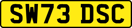 SW73DSC