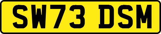 SW73DSM