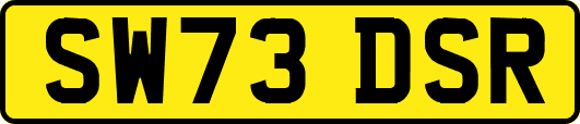 SW73DSR