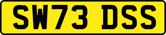 SW73DSS