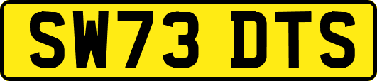 SW73DTS