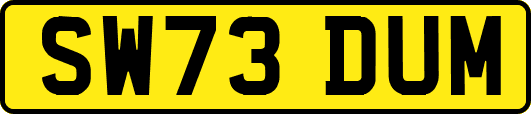 SW73DUM