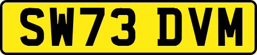 SW73DVM