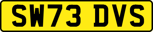 SW73DVS