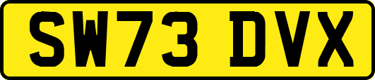 SW73DVX