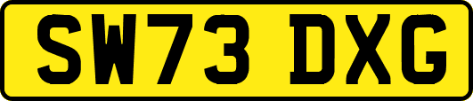 SW73DXG