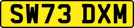 SW73DXM
