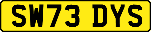 SW73DYS