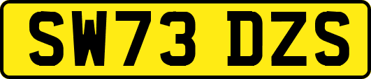 SW73DZS