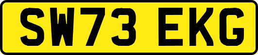 SW73EKG