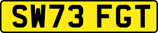 SW73FGT