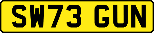 SW73GUN