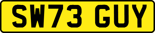 SW73GUY