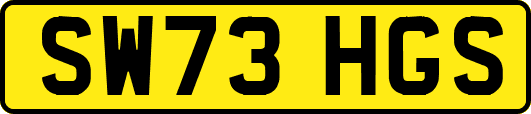 SW73HGS