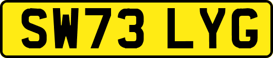SW73LYG