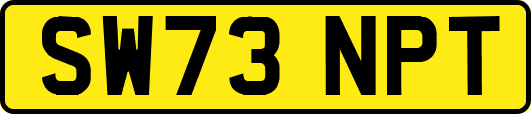 SW73NPT