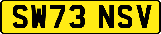 SW73NSV