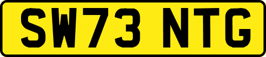 SW73NTG