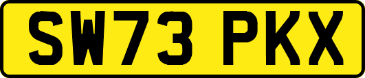 SW73PKX