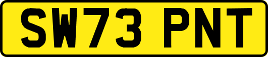 SW73PNT