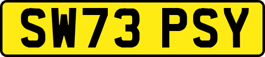 SW73PSY