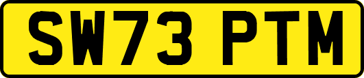 SW73PTM