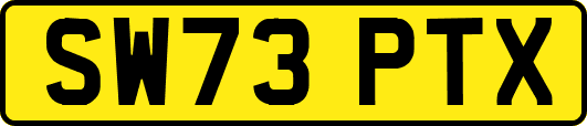 SW73PTX