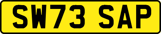 SW73SAP