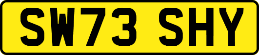 SW73SHY