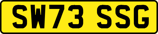SW73SSG